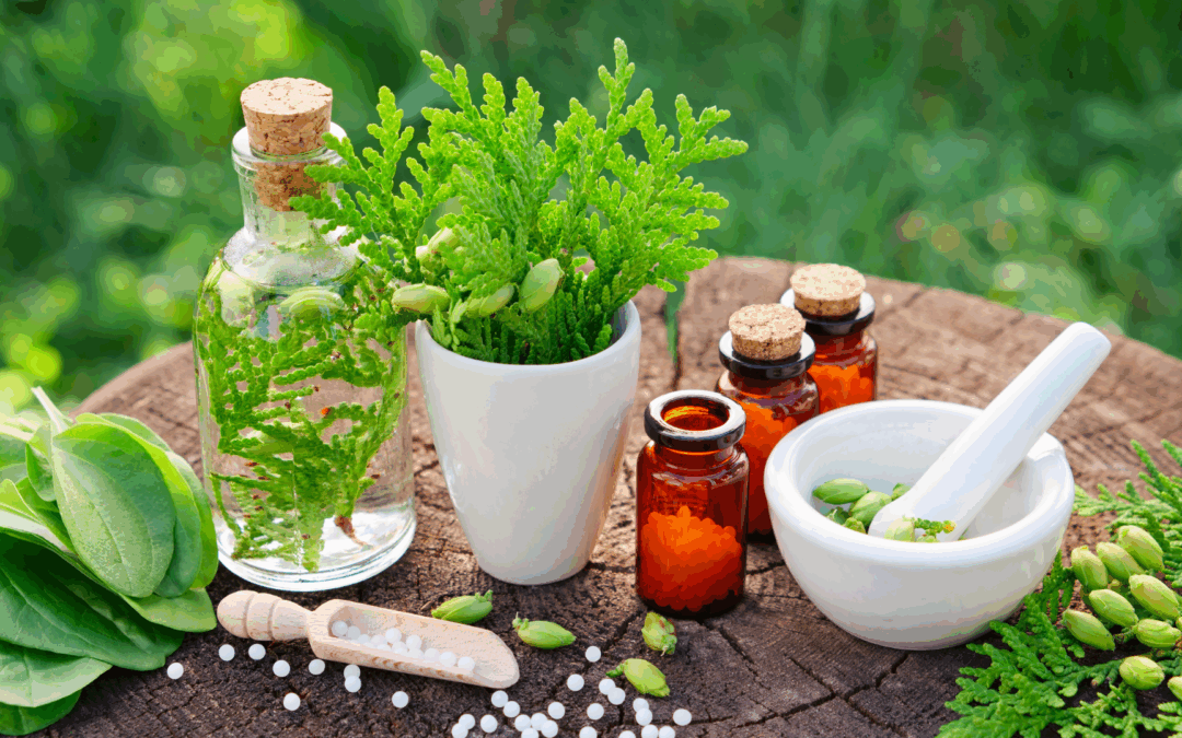 Healing Through Plant Medicine and Mindfulness