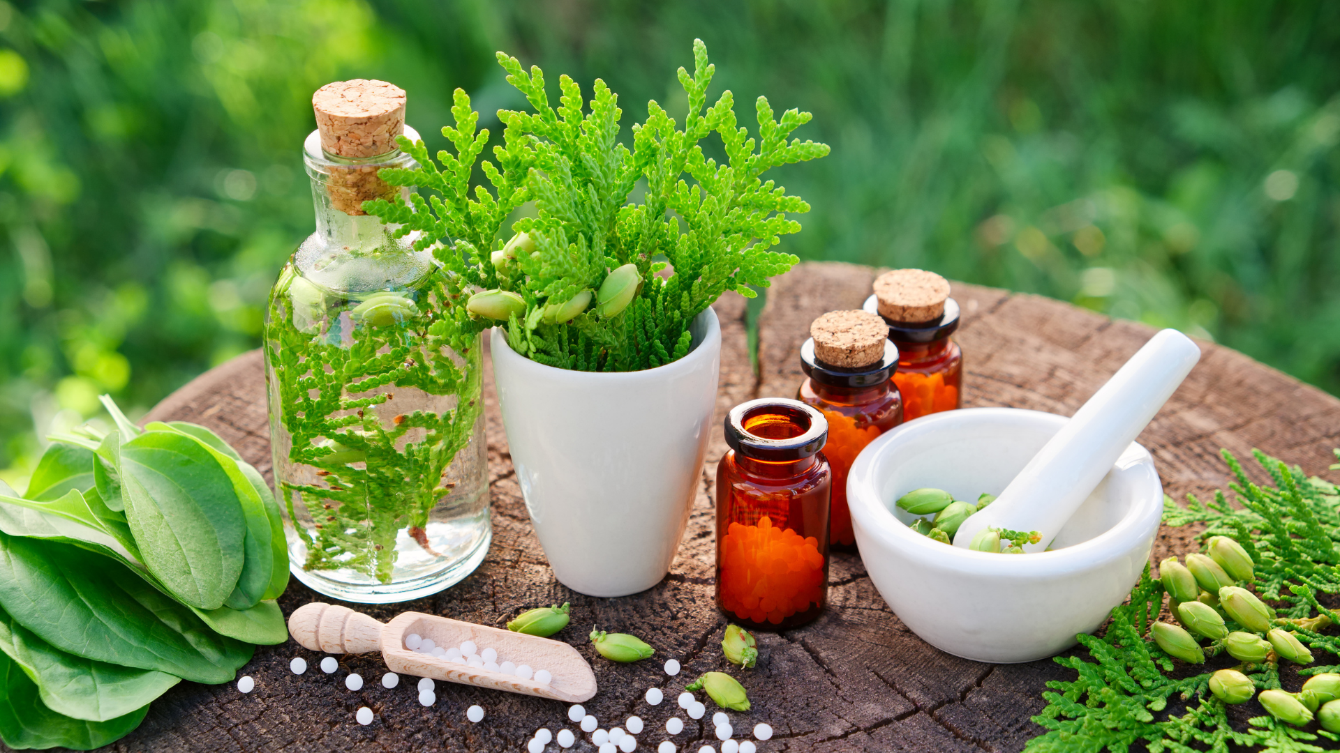 Healing Through Plant Medicine