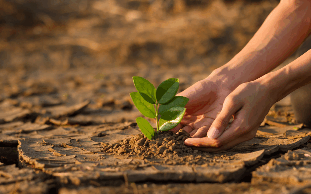 From Soil to Soul: How Gardening Can Transform Health, Community, and Justice
