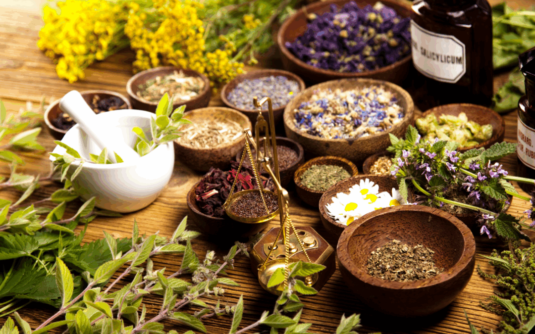 Awakening Through Meditation and Plant Medicine: Pathways to Healing