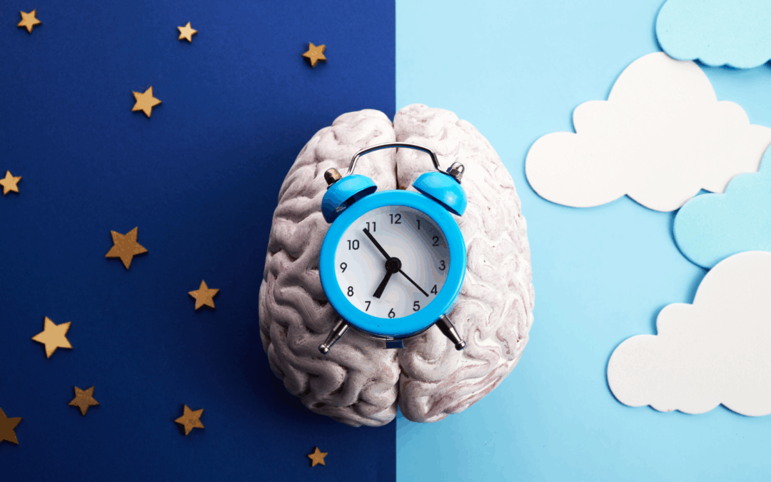 Circadian Rhythm Biology: How Your Body Clock Controls Weight, Metabolism & Long-Term Health