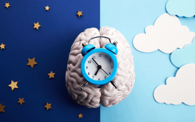 Circadian Rhythm Biology: How Your Body Clock Controls Weight, Metabolism & Long-Term Health