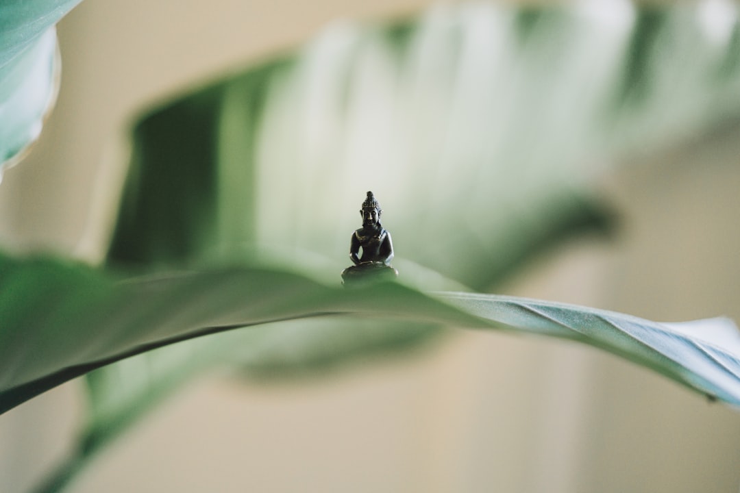 Little Buddha on a Leaf