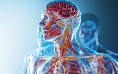 When High Achievers Burn Out: Why Regulating the Nervous System Changes Everything